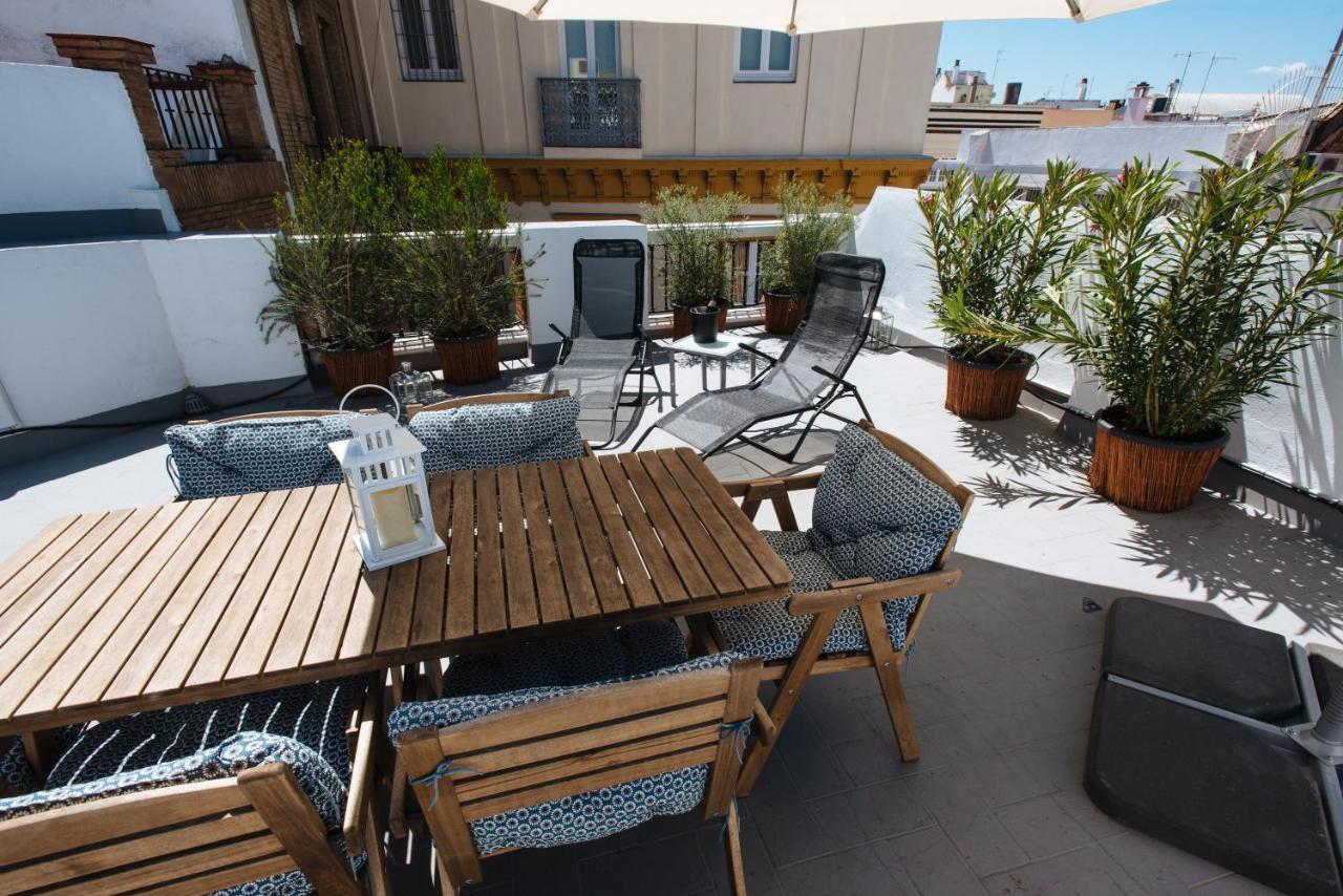 Penthouse Studio And Rooftop Garden Appartement