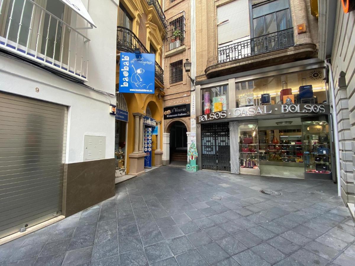 Penthouse Studio And Rooftop Garden Apartment Seville